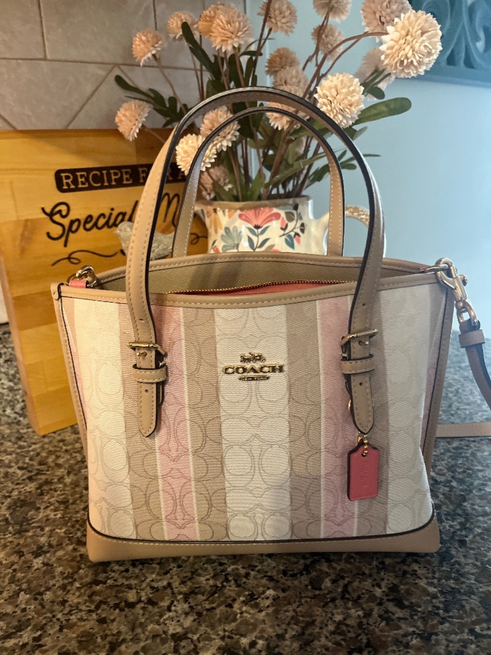 Coach Mollie 25 Signature Tote